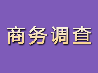 高淳商务调查