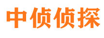 高淳市侦探公司